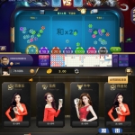 二次开发NG版本娱乐游戏源码网狐内核改版_