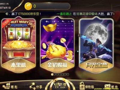 TNT永盛娱乐电玩城完整服务器打包数据+双端app正常