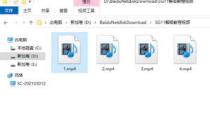 SG11详细解密视频教程