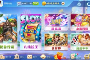 网狐系列飞米电玩组件