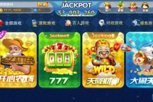 傲玩海外版电玩组件下载棋牌源码程序下载|带控制