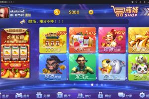 新版龙珠棋牌电玩城搭建教程