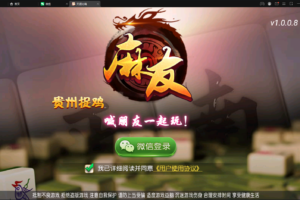 【麻友】亲测创胜系列/麻友/贵州捉鸡地方玩法大联盟房卡棋牌组件