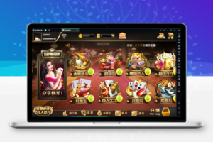 源码全套胜博源码