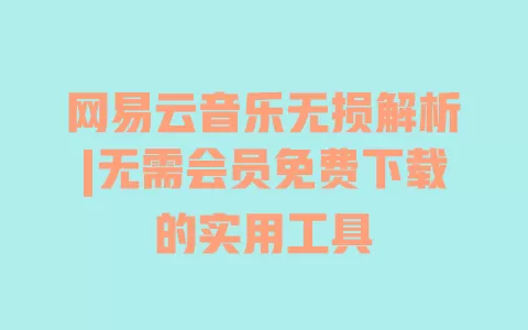网易云音乐无损解析|无需会员免费下载的实用工具 网易云音乐无损解析|无需会员免费下载的实用工具