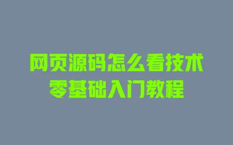 网页源码怎么看技术零基础入门教程