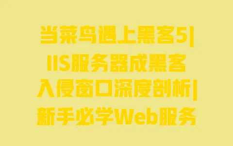 当菜鸟遇上黑客5|IIS服务器成黑客入侵窗口深度剖析|新手必学Web服务器安全防护指南 当菜鸟遇上黑客5|IIS服务器成黑客入侵窗口深度剖析|新手必学Web服务器安全防护指南