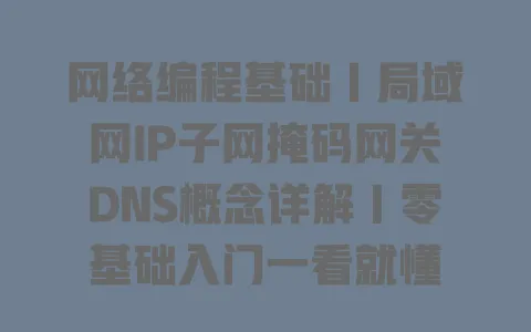 网络编程基础|局域网IP子网掩码网关DNS概念详解|零基础入门一看就懂 网络编程基础|局域网IP子网掩码网关DNS概念详解|零基础入门一看就懂