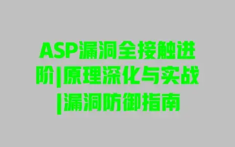 ASP漏洞全接触进阶|原理深化与实战|漏洞防御指南 ASP漏洞全接触进阶|原理深化与实战|漏洞防御指南