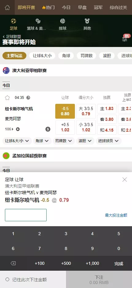 【皇冠体育盘源码】多语言反波球盘信用盘源码+足球篮球体育盘