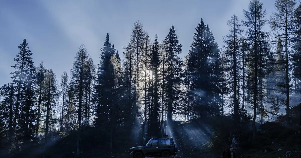 大模型推理优化技术：让 AI 更快更省