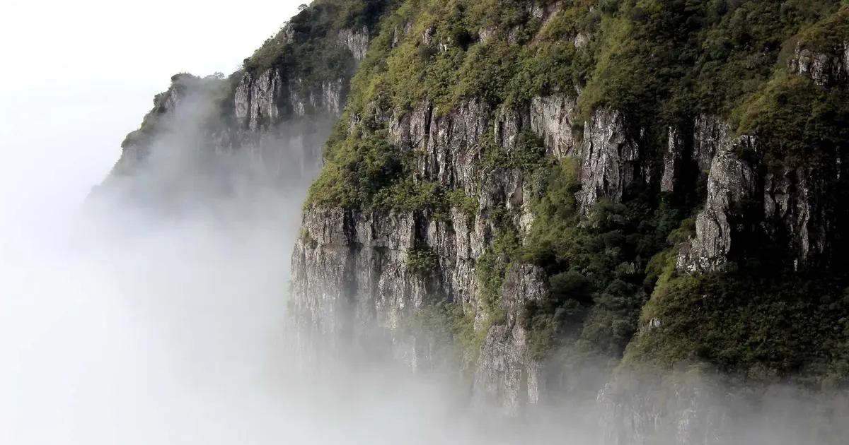 AI 语音工具全攻略：从 TTS 到语音克隆