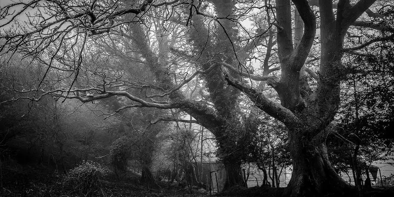 贝索斯普罗米修斯计划挖走xAI联合创始人，目标打造万亿美元AI帝国