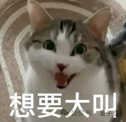 瓜多到一度吃不下的ICLR 2026，这