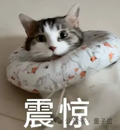 瓜多到一度吃不下的ICLR 2026，这