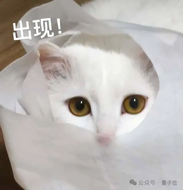 消费级显卡可以快速上手跑！面壁智能MiniCPM-o 4.5发技术报告