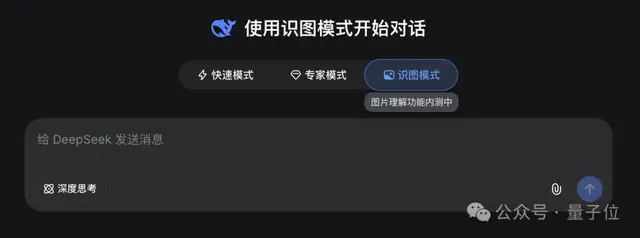 DeepSeek识图模式是个新模型？！一手实测在此（没错我被灰度到了）